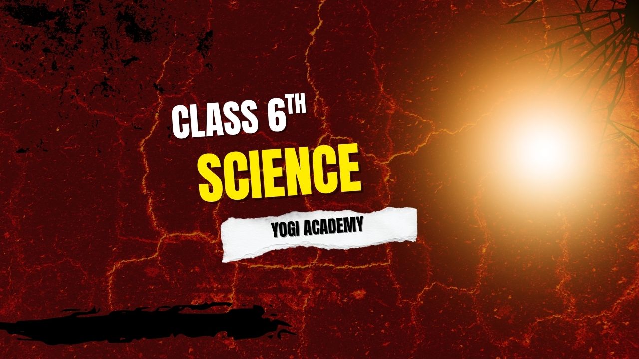 Science