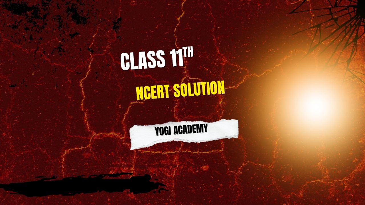 Ncert Solution